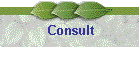 Consult