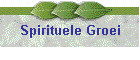 Spirituele Groei